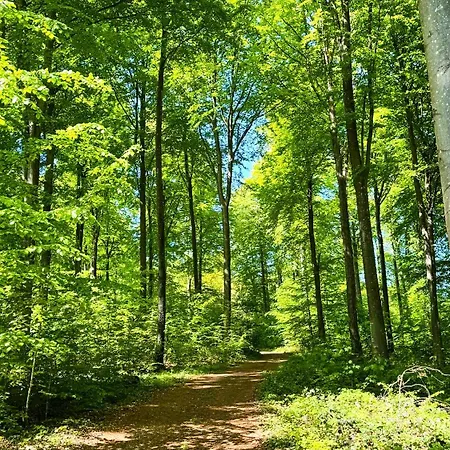 Apartamento Stylish Vacation - Close To Sea And Nature Hejls