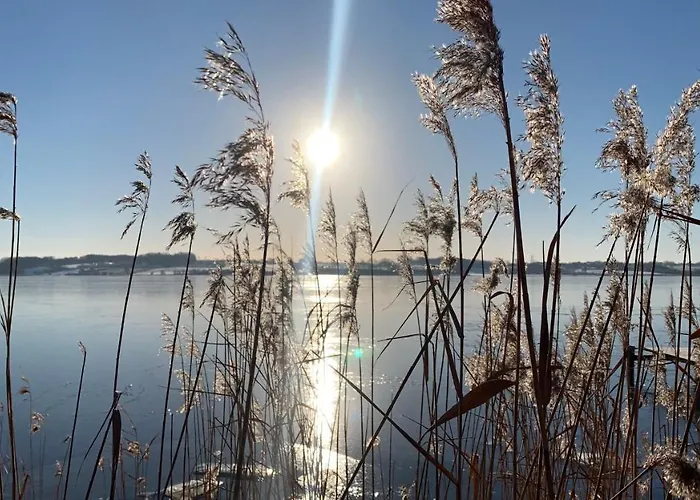 Апартаменты Stylish Vacation - Close To Sea And Nature *