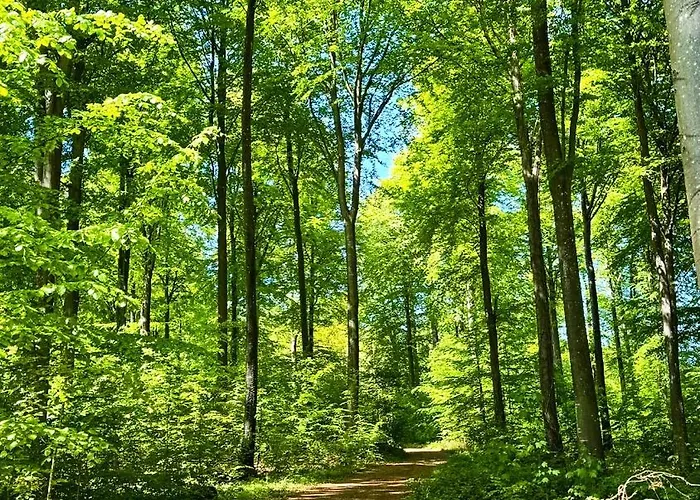 Апартаменты Stylish Vacation - Close To Sea And Nature Hejls